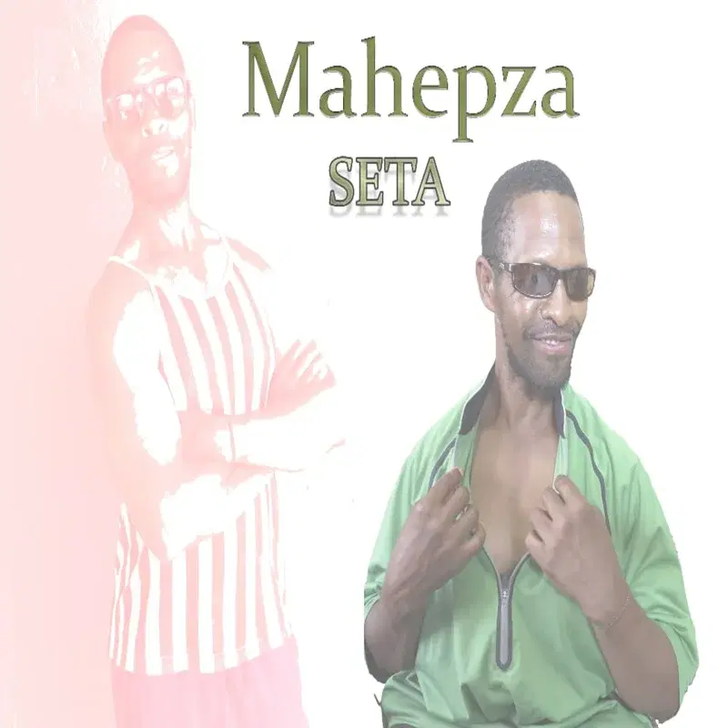 Seta