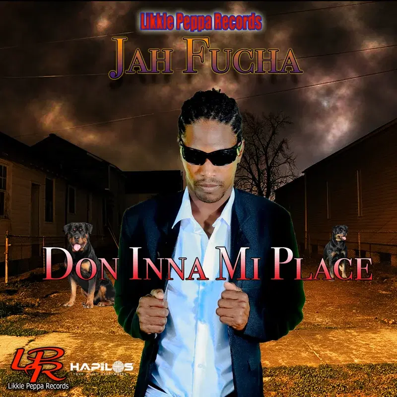 Don Inna Mi Place