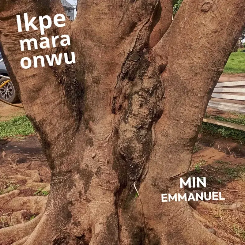 Ikpe Mara Onwu