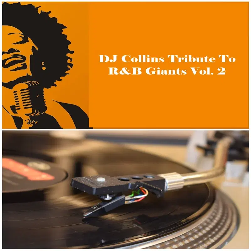 Tribute to R&B Giants, Vol. 2