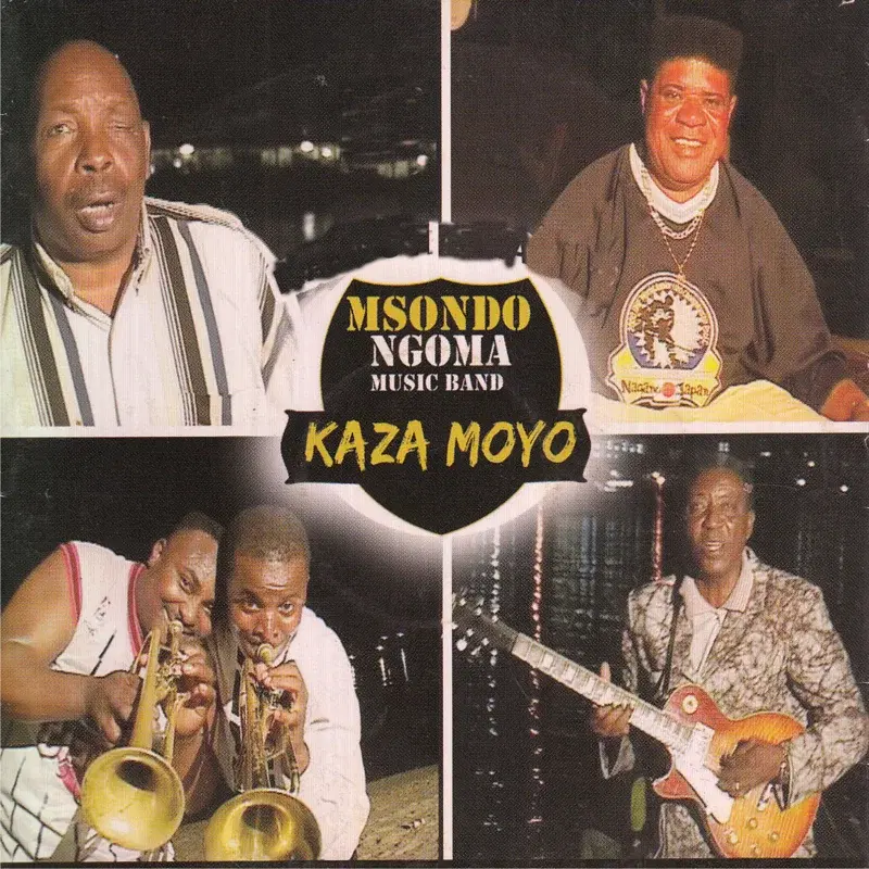 Kaza Moyo