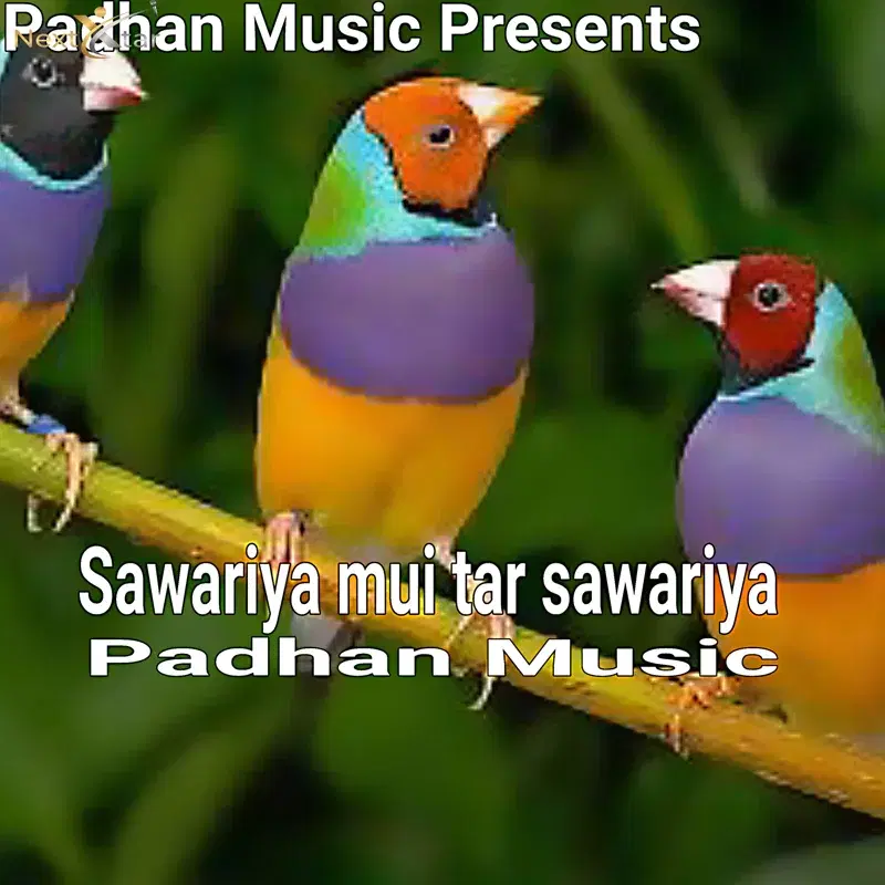 Sawariya Mui Tar Sawariya