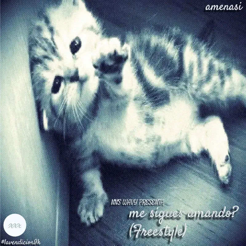 me sigues amando? (Freestyle)