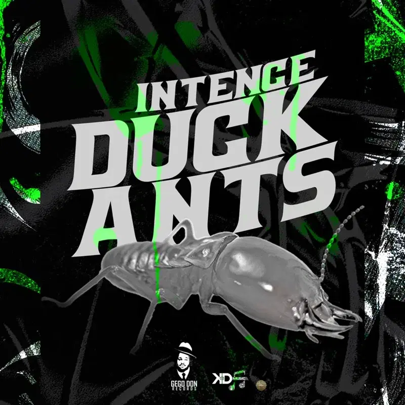 Duck Ants