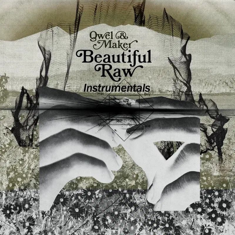 Beautiful Raw Instrumentals
