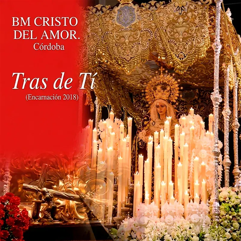 Tras de Ti