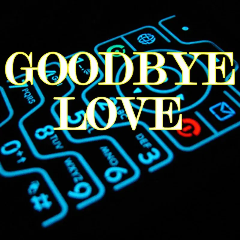 Goodbye Love (Verse)