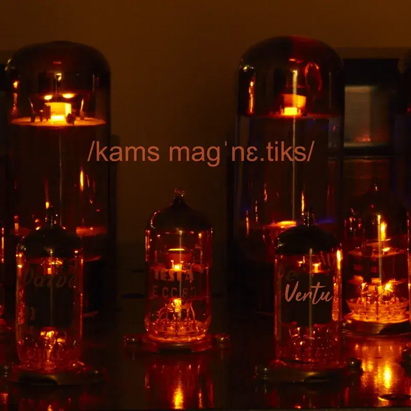 Camps Magnètics
