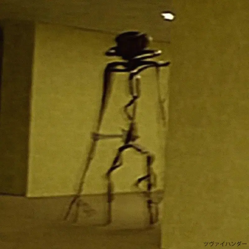 MONTAGEM ENTITY