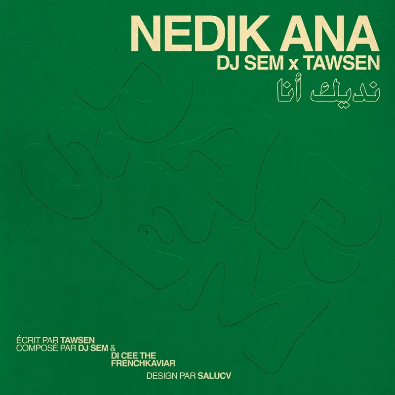 Nedik Ana