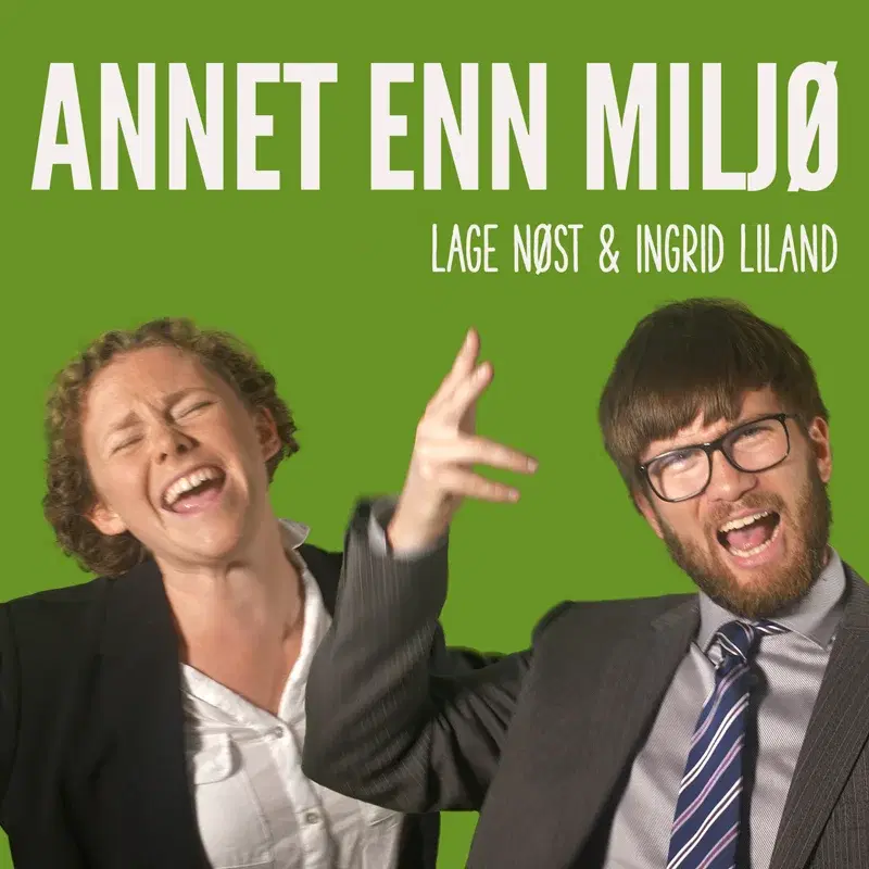 Annet enn miljø