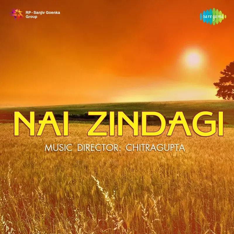 Nai Zindagi (Original Motion Picture Soundtrack)
