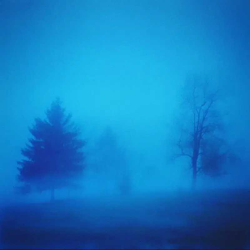snow dust