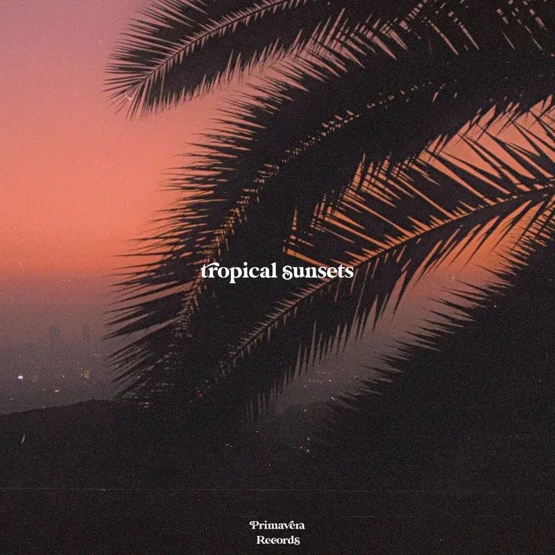 Tropical Sunsets