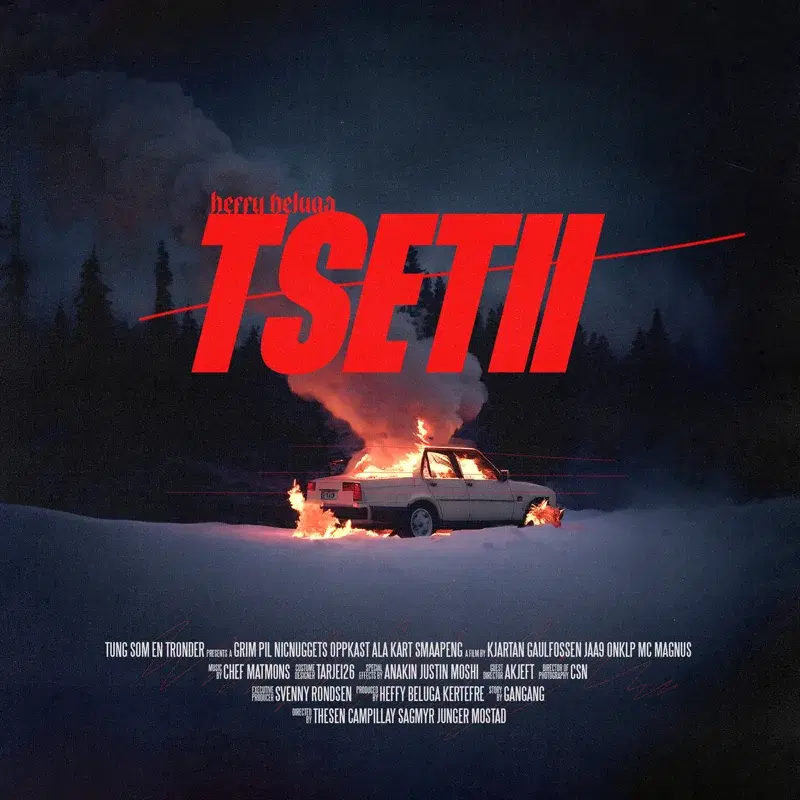 TSET II