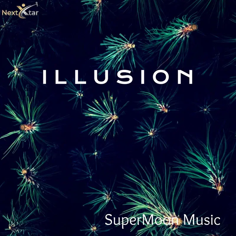 Illusion