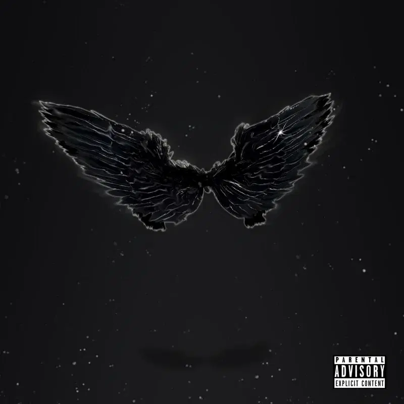 Volo