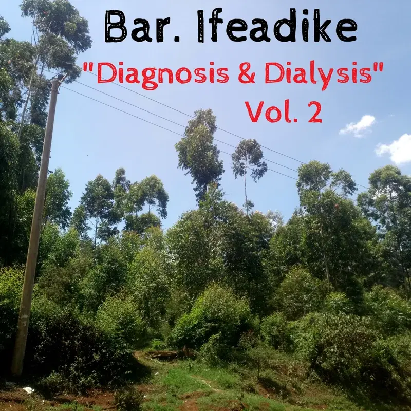 Diagnosis & Dialysis, Vol. 2