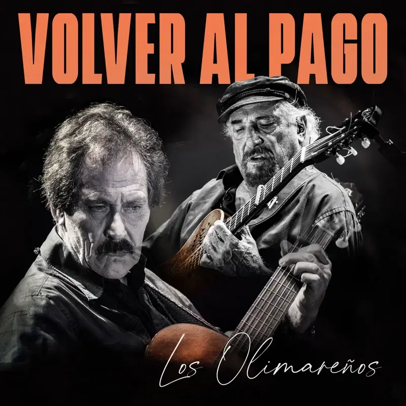 Volver Al Pago