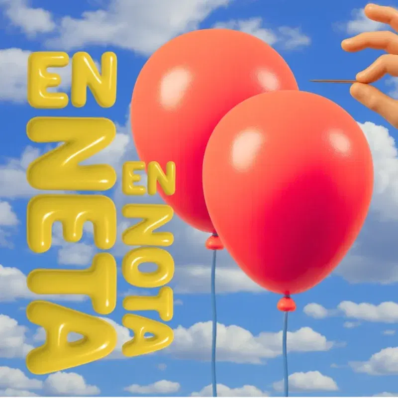 EN NETA/ EN NOTA