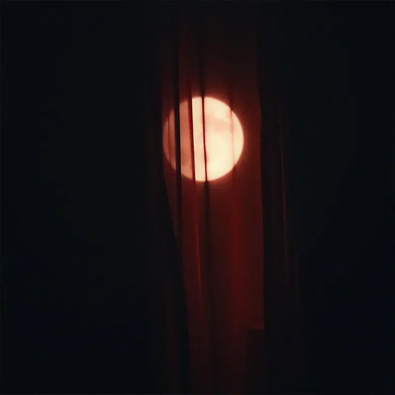 Dark Love