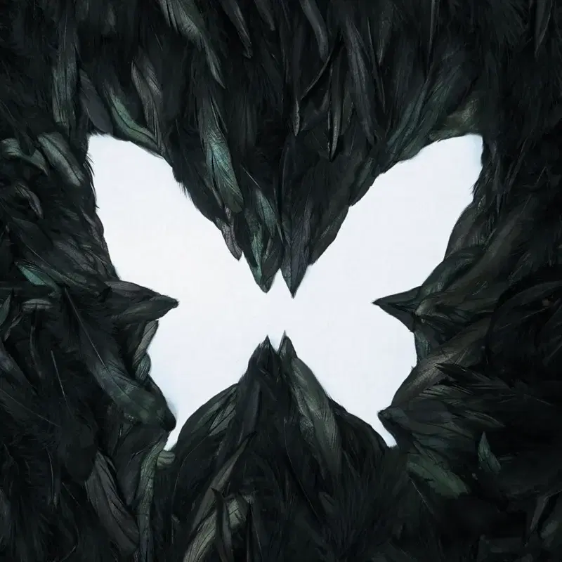 SOAR