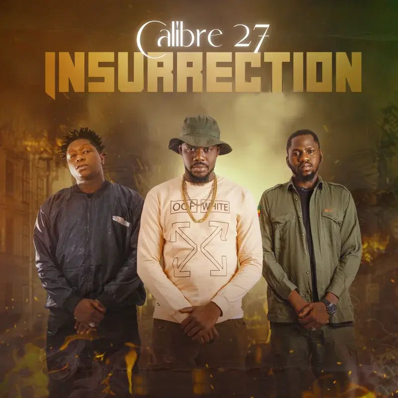 Insurrection