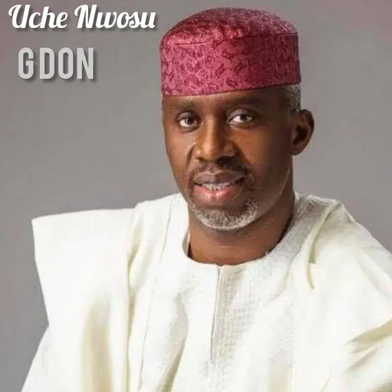 Uche Nwosu