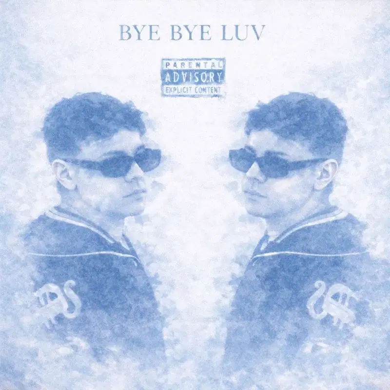 Bye Bye Luv
