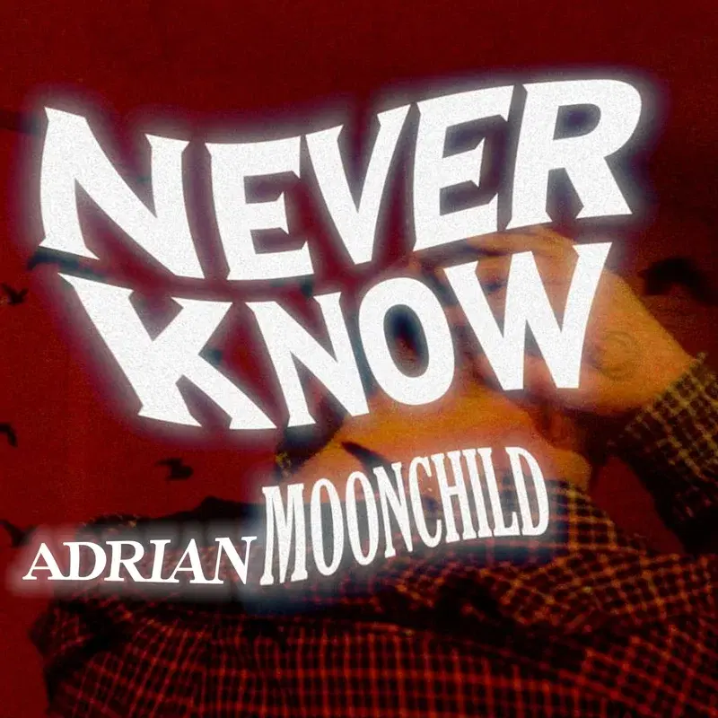 Never Know
