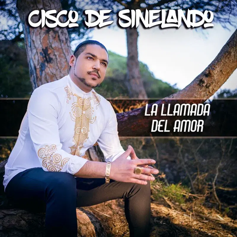 La Llamada del Amor