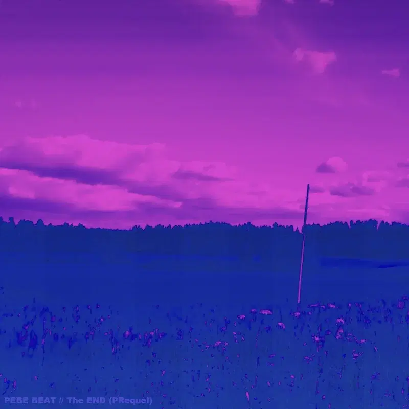 THE END (PRequel)