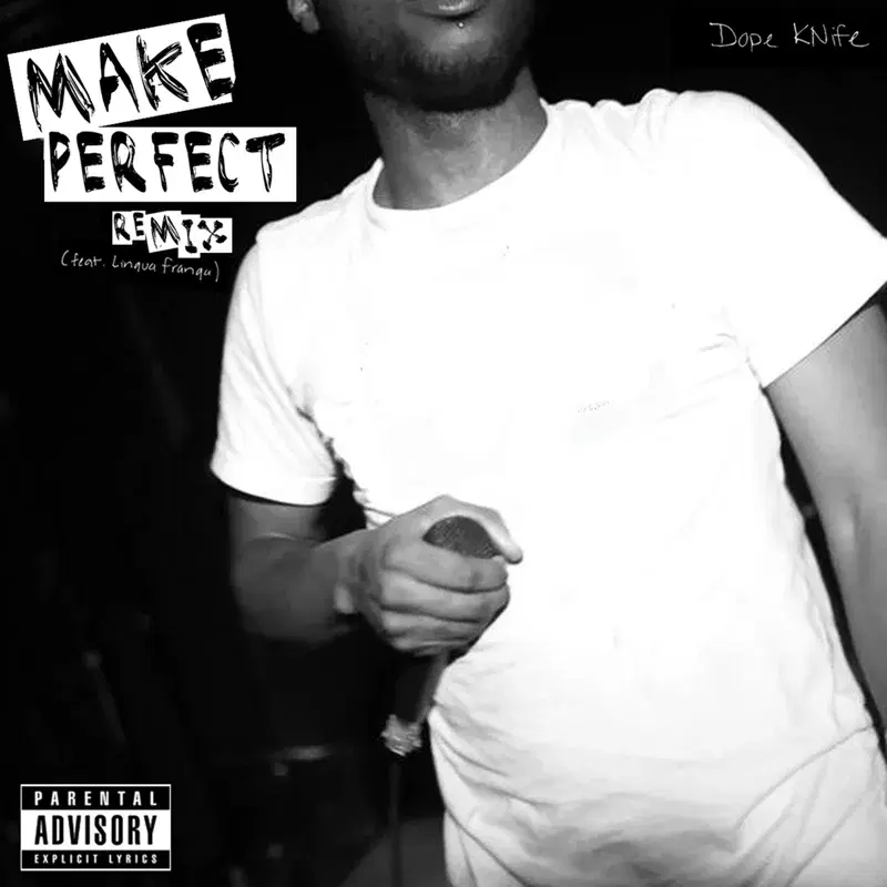 Make Perfect (feat. Linqua Franqa) [Remix]