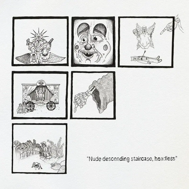 Spiders