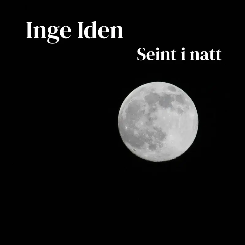 Seint i natt