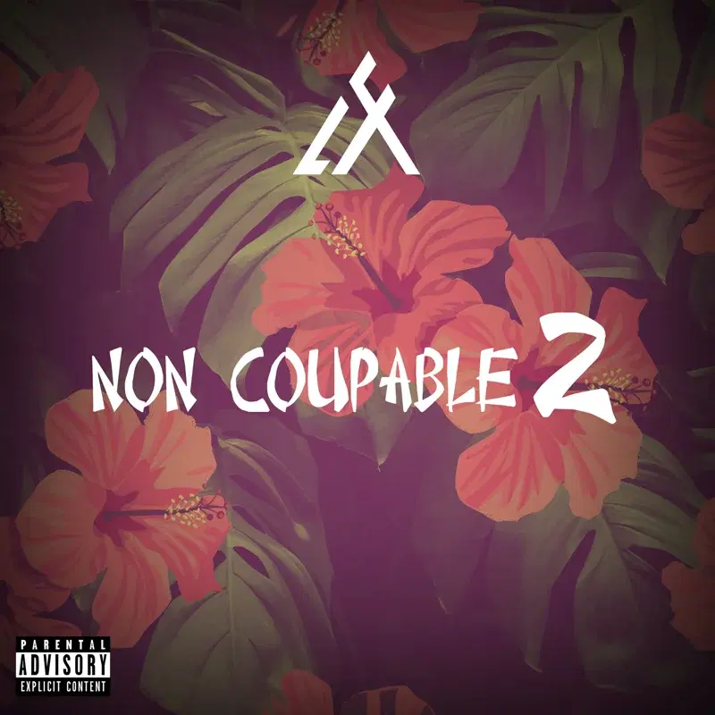Non Coupable 2