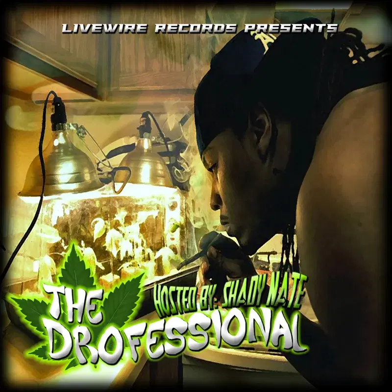 The Drofessional