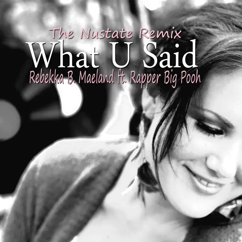 What U Said (feat. Rapper Big Pooh) [The Nustate Remix]