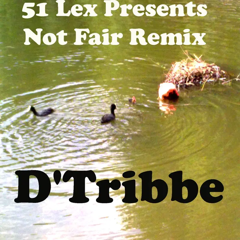 51 Lex Presents Not Fair Remix