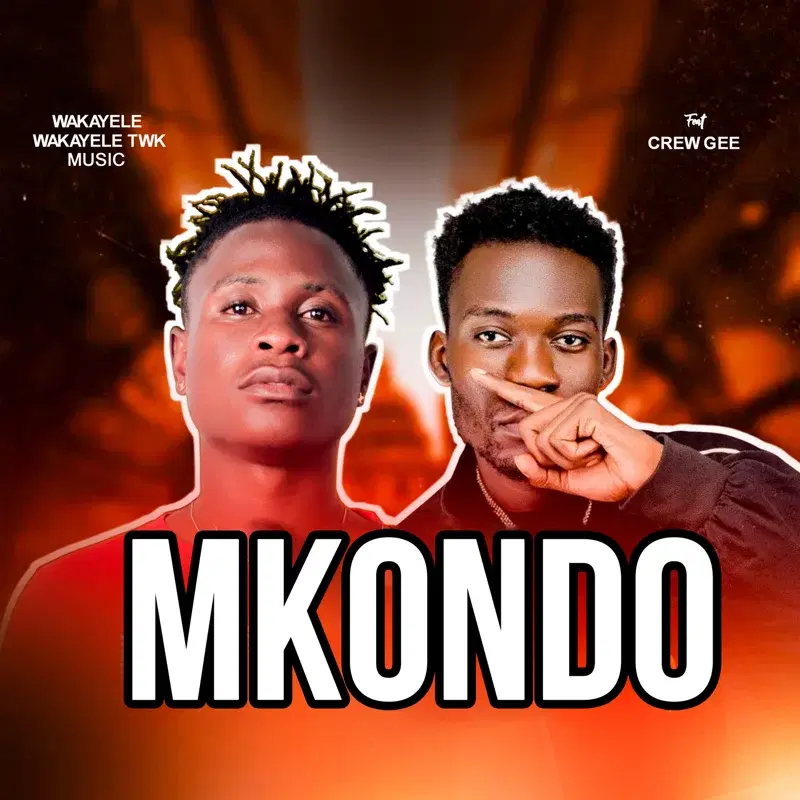 Mkondo
