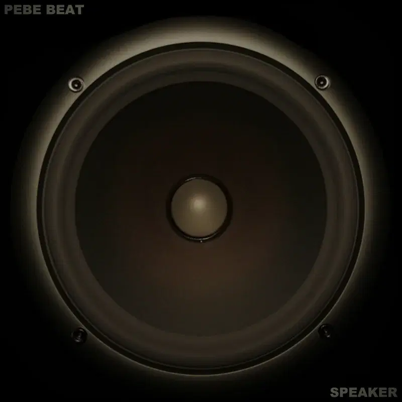 Speaker