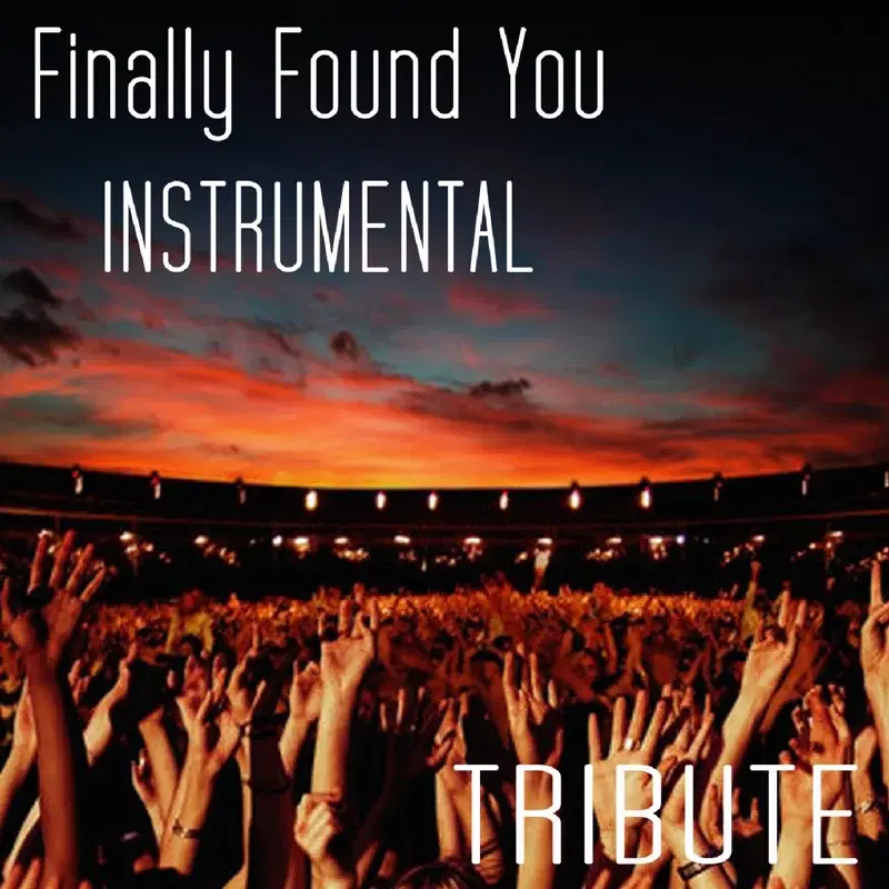 Finally Found You (Tribute to Enrique Iglesias Feat. Sammy Adams Instrumental)