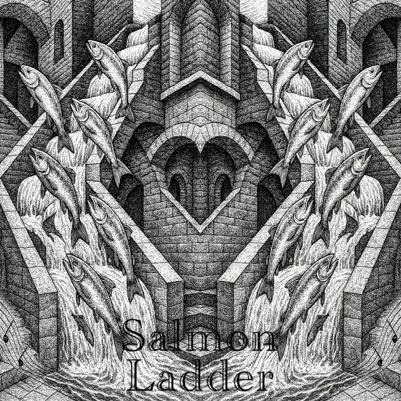 Salmon Ladder