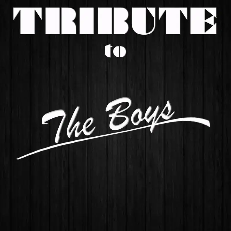 The Boys (Tribute to Nicki Minaj Feat. Cassie)