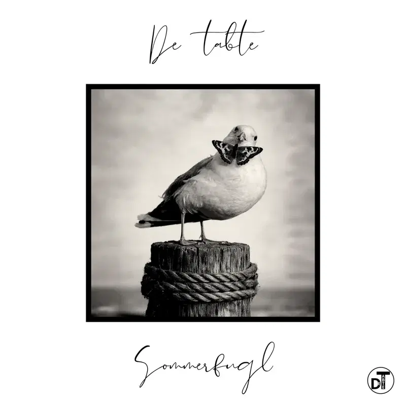 Sommerfugl