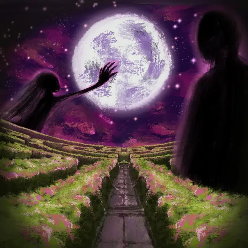 The Maze