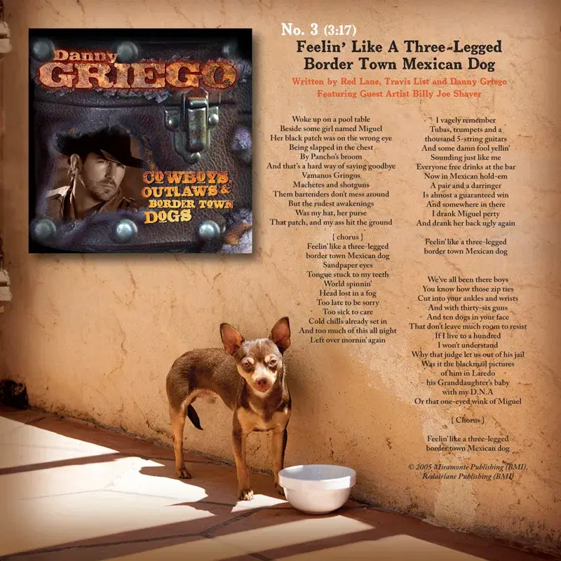 Three-Legged Border Town Dog