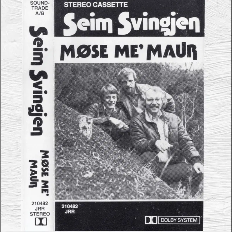 Seim Svingjen