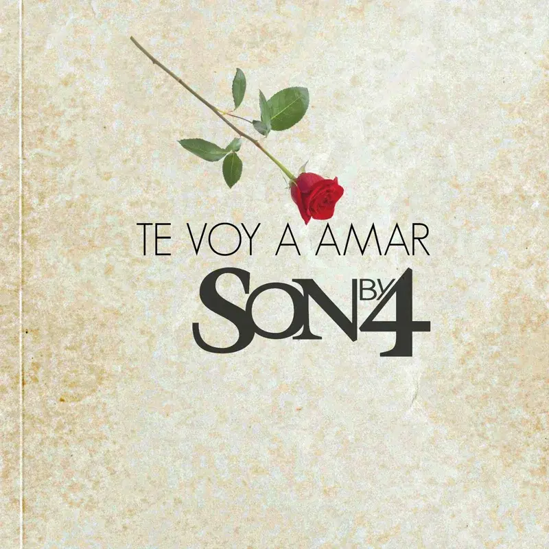 Te Voy a Amar (Salsa Version)