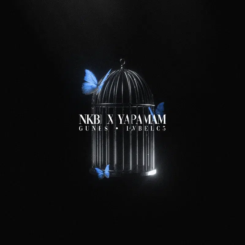NKBİ X YAPAMAM